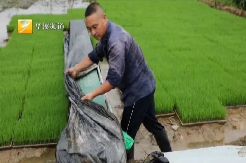 身边永康人：祖祖辈辈扎根做农民——李维哲