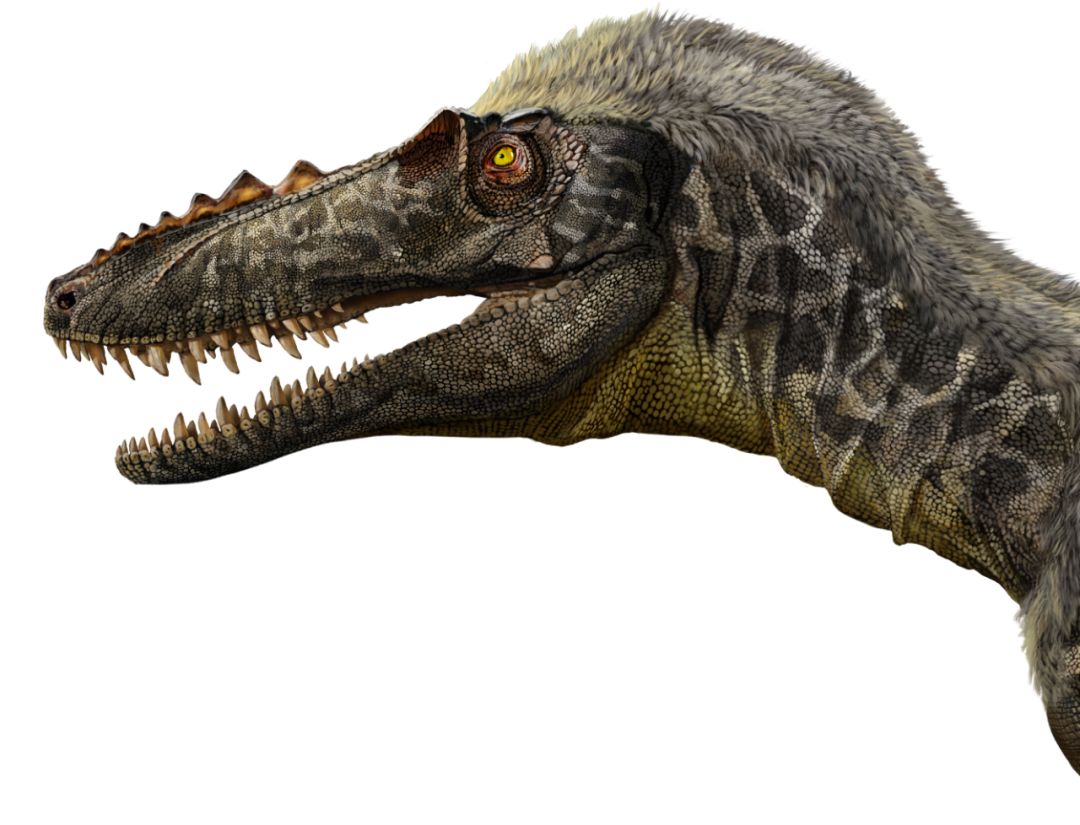 PNSO×化学工业出版社恐龙文创产品摩点众筹上线：寻找消失的恐龙，就是寻找消逝的童年