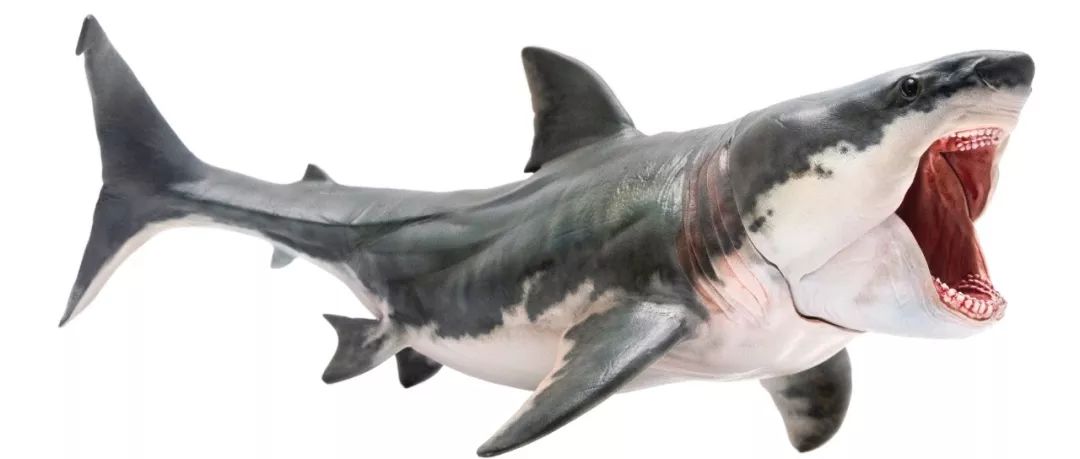 PNSO×化学工业出版社恐龙文创产品摩点众筹上线：寻找消失的恐龙，就是寻找消逝的童年