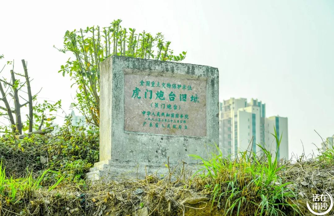 南沙凤凰湖以前叫什么名字,南沙凤凰湖历史