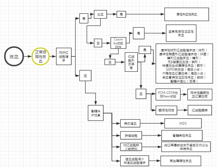 妊娠贫血诊断标准是什么,贫血最可靠的诊断依据是