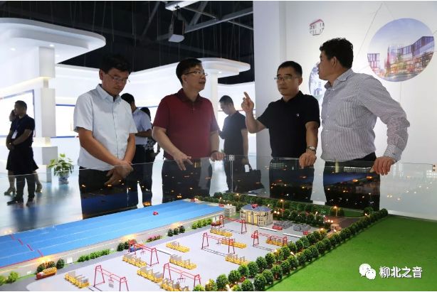 柳州东盟博览会签约什么项目,广西柳州柳城东盟博览会成功签约