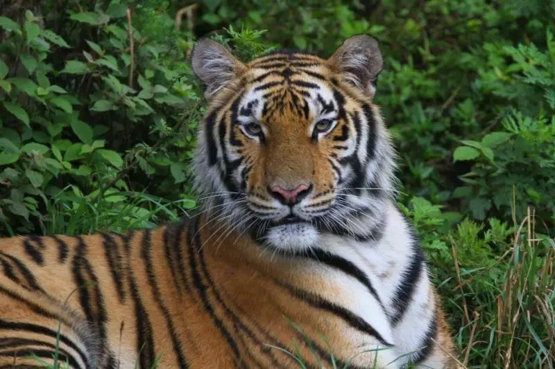 畅玩云南,畅玩永鸿动物园