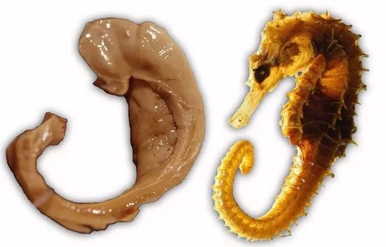 运动能力天生的还是从小锻炼的,人的运动能力从几岁开始