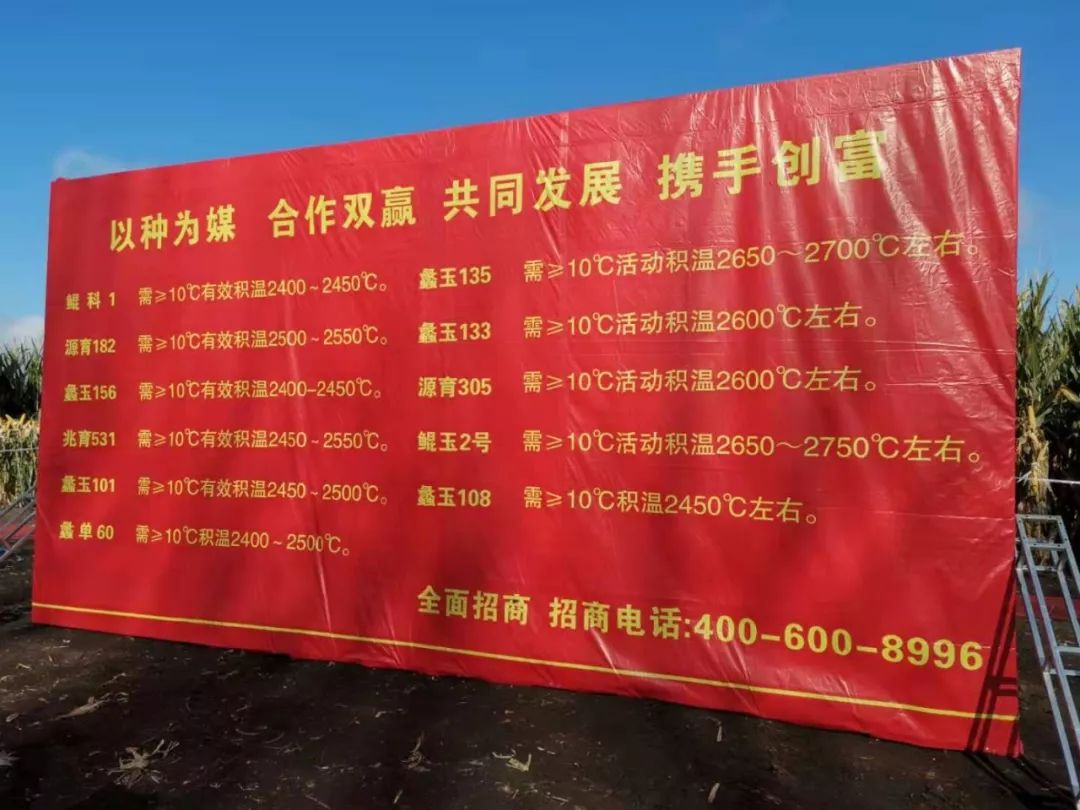 抗性型玉米,抗性最好的玉米品种