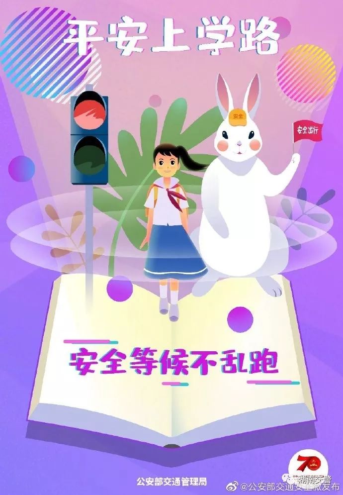 交通安全教育从婴幼儿抓起,交通安全教育从小培养