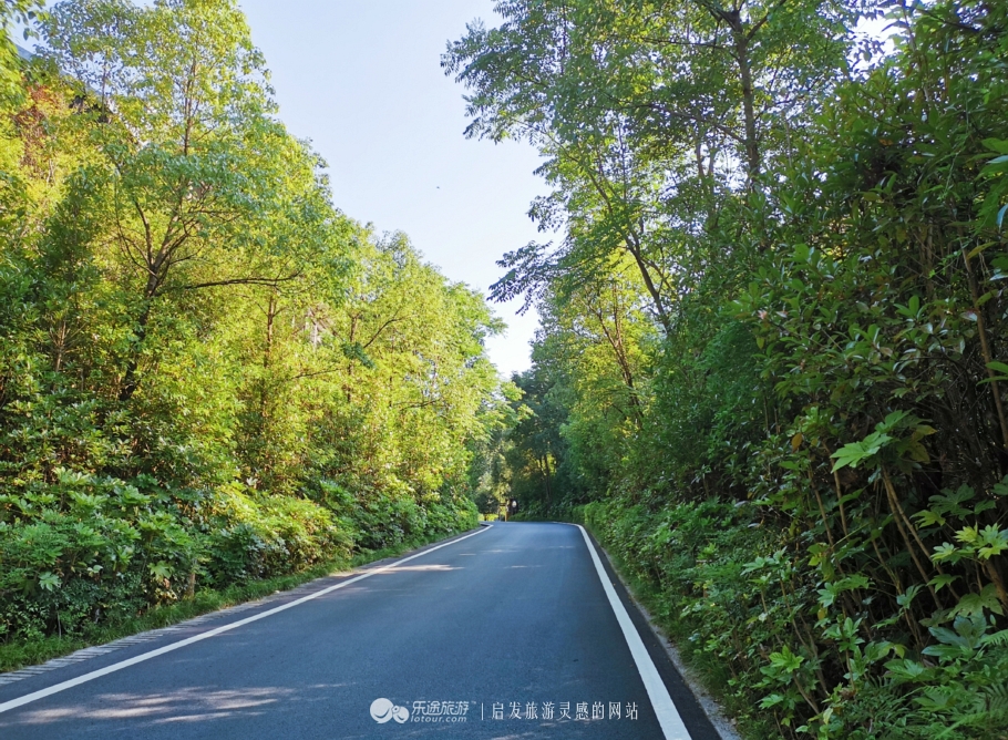 张家界森林公园自由行住宿推荐,张家界国家森林公园旅游住宿攻略