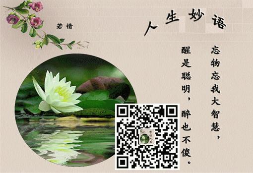 你羡慕的人每天在手机上看什么,你羡慕的人有哪些