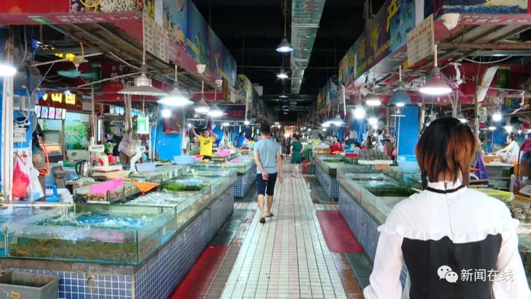 阳澄湖大闸蟹啥时候开捕,阳澄湖大闸蟹开捕了吗