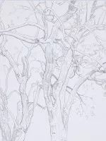 写生季美术生,美术生风景写生颜色怎么调