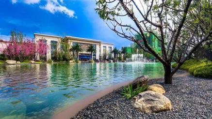 和林新区最新项目,和林新区高端楼盘