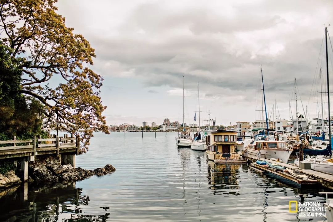 去加拿大必去景点有哪些地方,在加拿大10月中旬旅游地点推荐