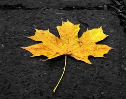 滨海人注意！秋天4种疾病“卷土重来”，牢记7个“最佳”