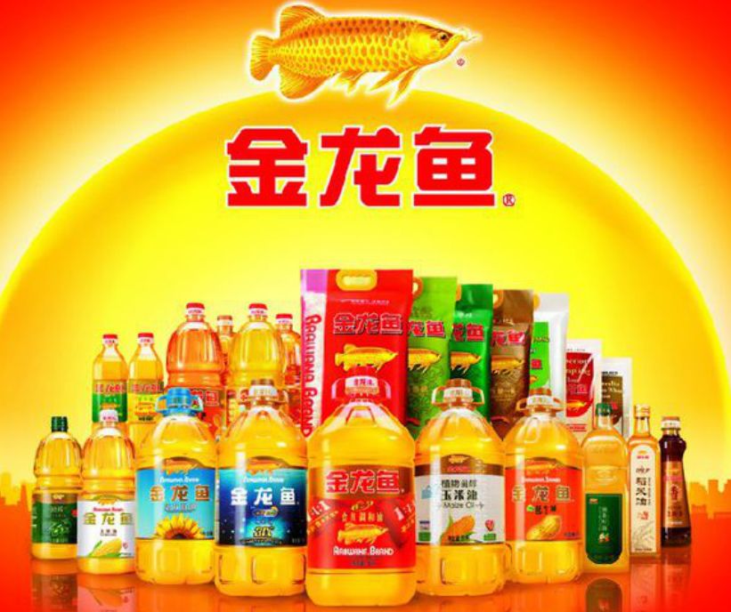 中国女排世界大赛十次夺冠瞬间,中国女排世界大赛十大夺冠瞬间