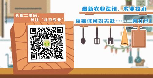 关于2020年北京市农业技术系列正高级专业技术资格评审有关事项的通知