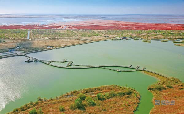 东营黄河入海口景区国庆,东营国庆花仙谷