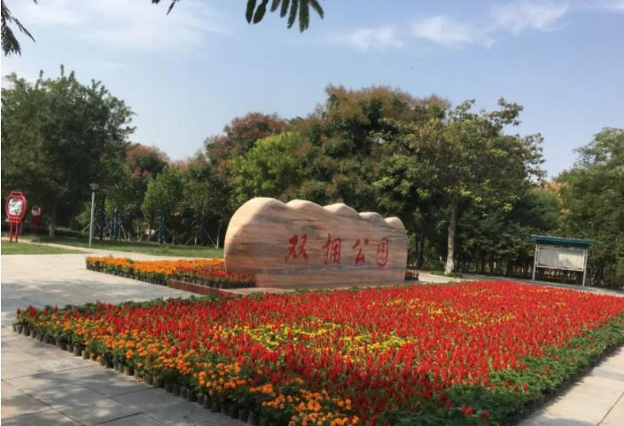 大变样！巩义再次颜值“逆天”，快去拍拍拍