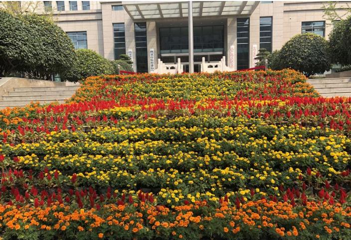 大变样！巩义再次颜值“逆天”，快去拍拍拍