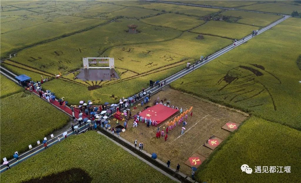 五星红旗同框感受,跟五星红旗合影感想