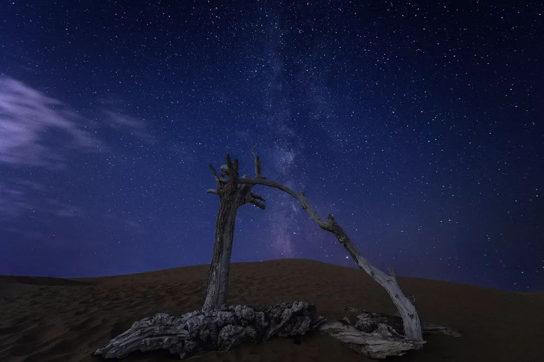 十一旅游必去景点推荐沙漠草原,十一沙漠旅游推荐
