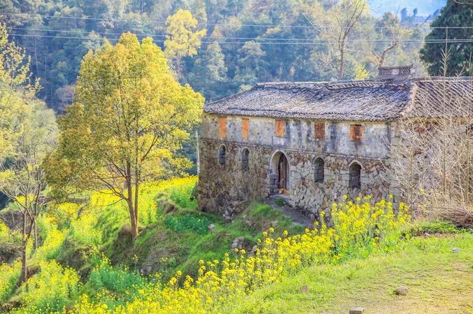 盛世如愿缅怀先烈|来浙里办文旅专区寻一条红色旅游线路，出发！