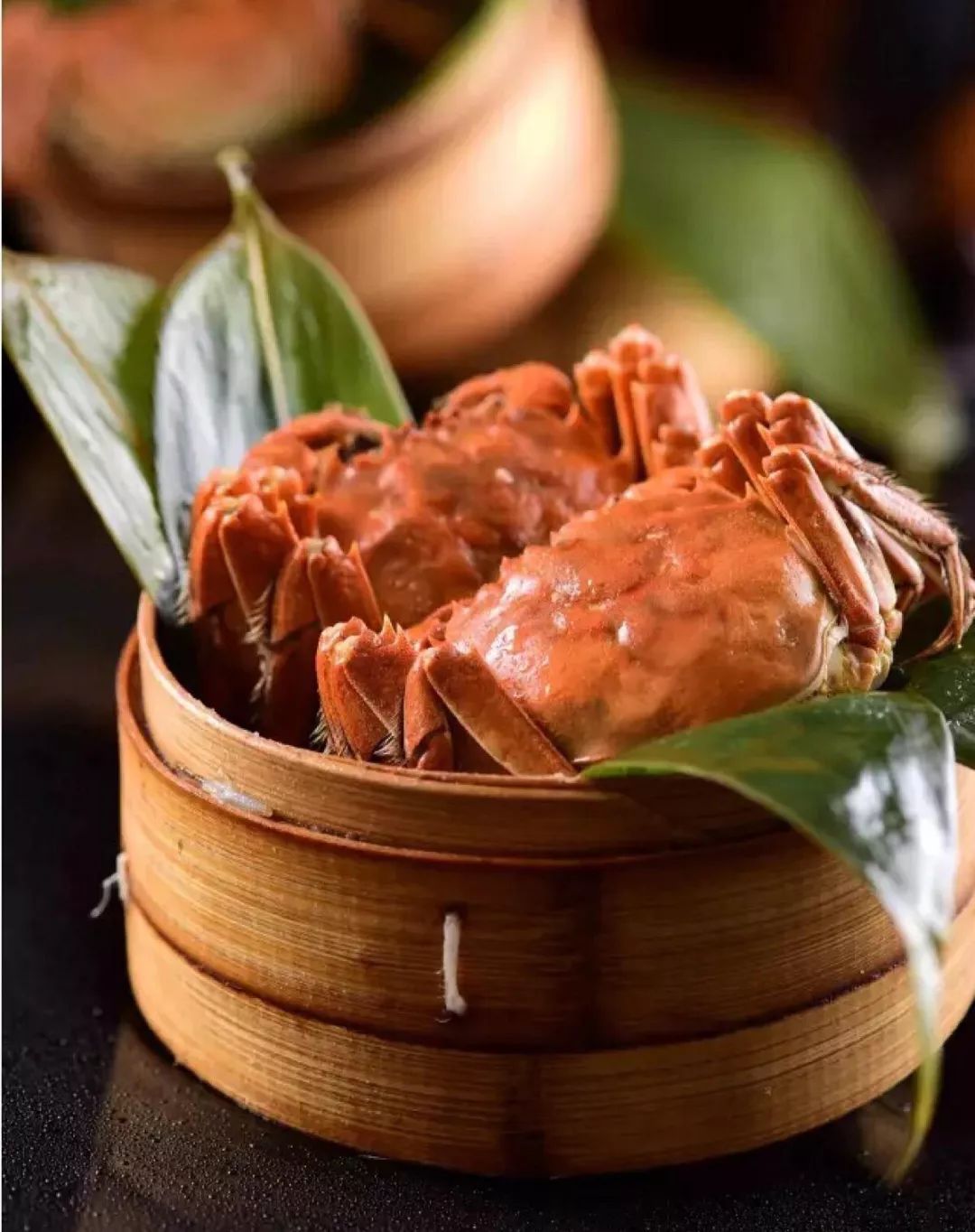 柏乐园附近美食,柏乐园有没有美食