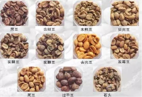 万字雄文说透咖啡:虽然经常捧着它,但你真的了解多少呢?