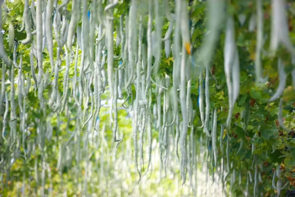 假期余额不足剩余1%请及时充值,假期余额不足去旅行