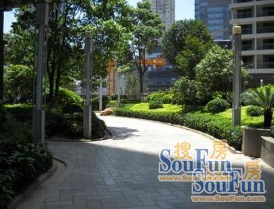 贵阳中医学院老校区红砖房,贵阳中医学院红砖房