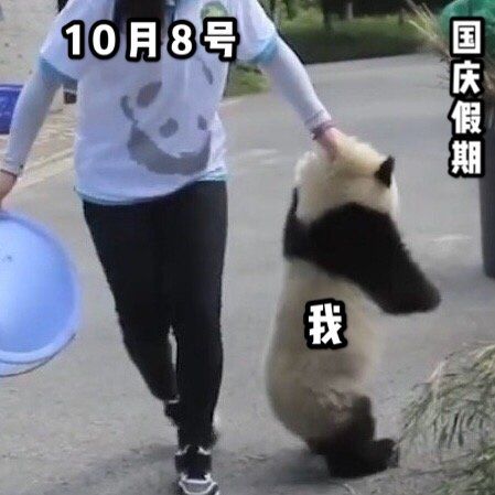 河南人注意！“十一”余额不足，除了天气骤变，还有这些事你必须知道