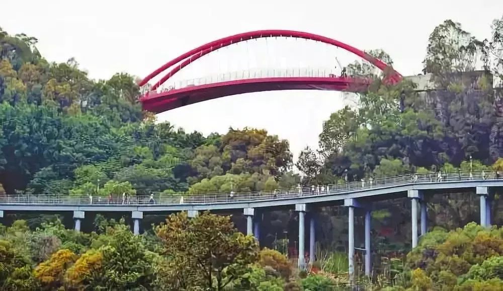 福州周边赏花自驾游,福州十大赏花好去处