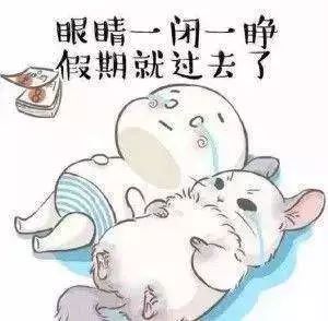 糟了，明天要上班了！我脑子里全是山南的措