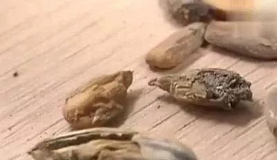 苦的菜吃了有哪些好处,很苦的菜怎样吃好