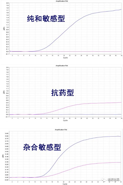 葡萄霜霉的克星,葡萄霜霉菌蛋白功能检测方法