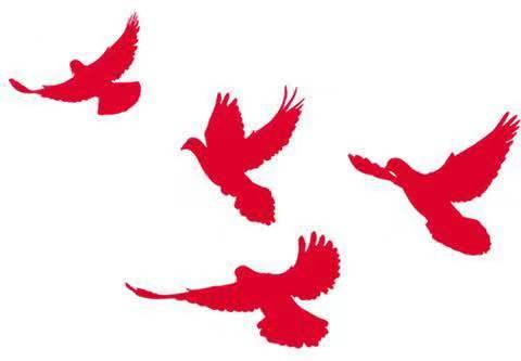 【初心、使命】广州支队国庆期间“岗位先锋”故事汇（二）