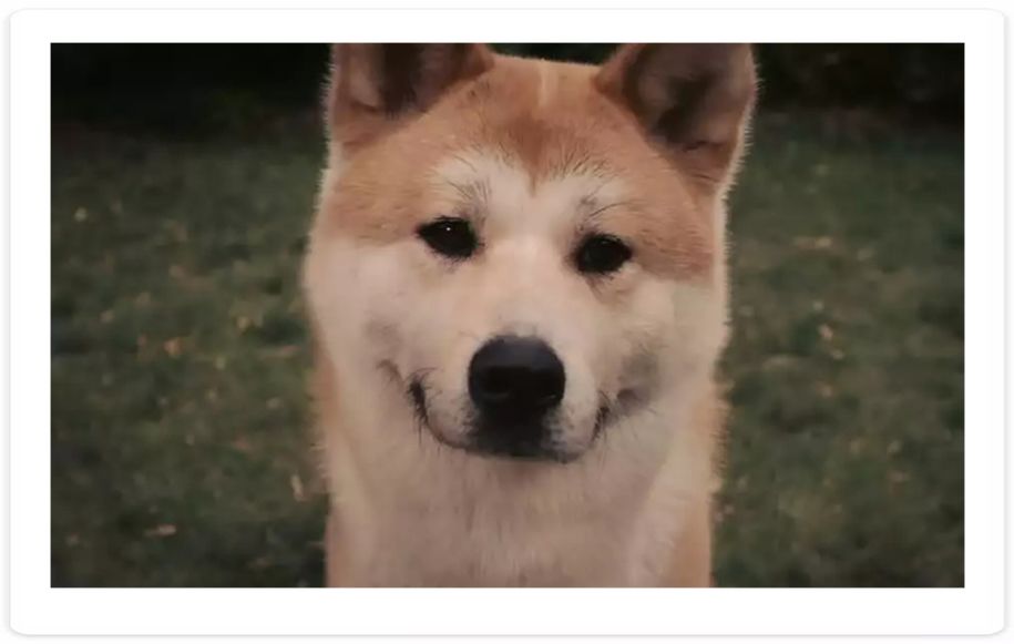 20句经典电影台词一句惊艳,18部高分电影18句经典台词