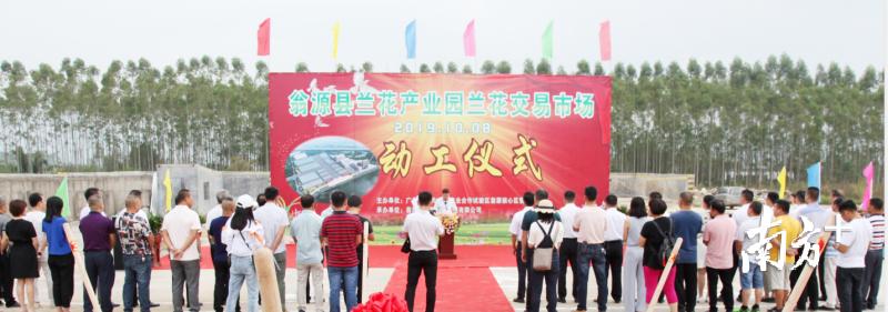 韶关翁源兰花市场,翁源县兰花业