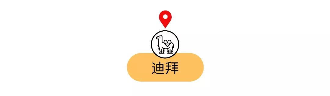 脑子进水才买的车,去国外必买的十种纪念品