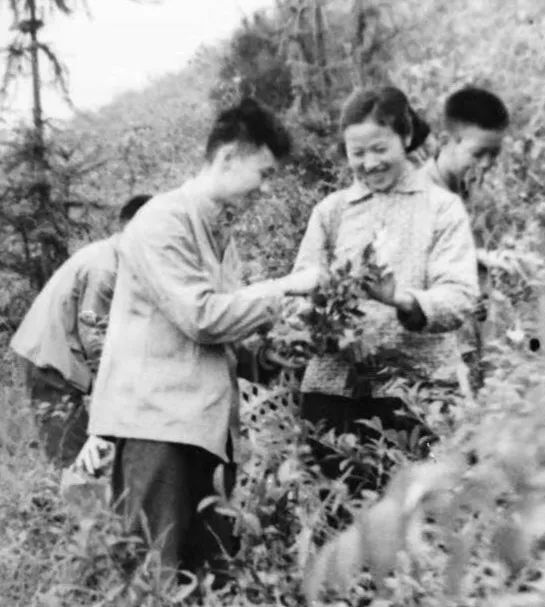 金山这位终身享受“国务院津贴”的名医，依旧坚持着...