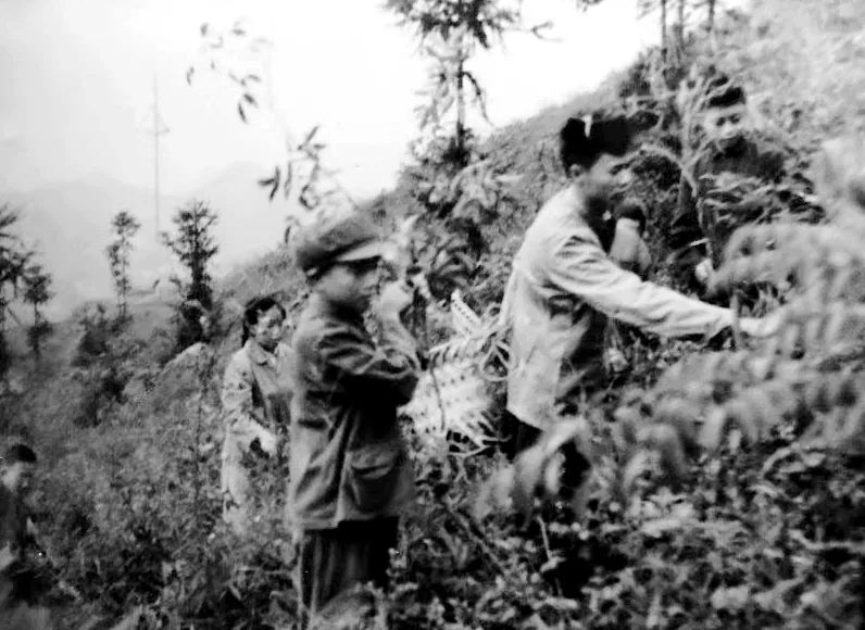 金山这位终身享受“国务院津贴”的名医，依旧坚持着...