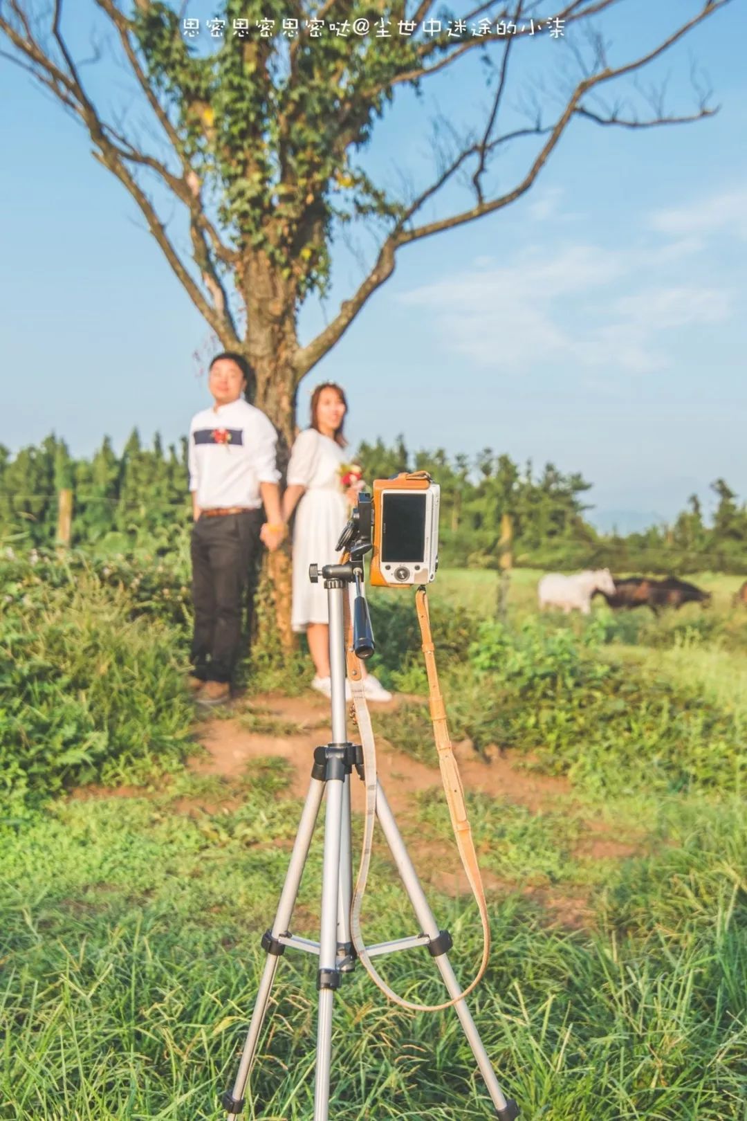 免签飞机票便宜的国家,免签机票便宜吗
