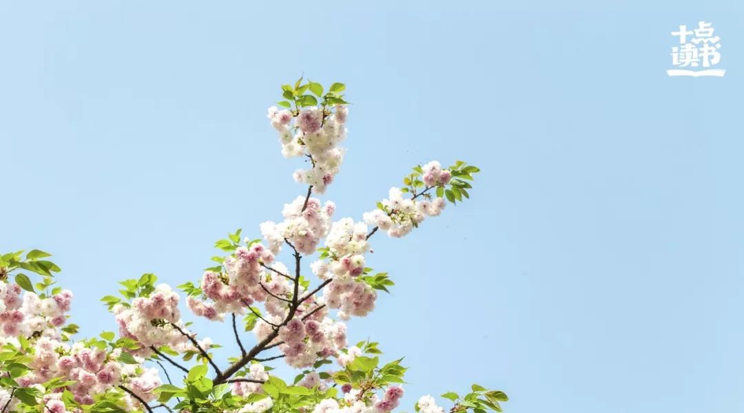 静下来的力量什么意思,静下来的力量是什么