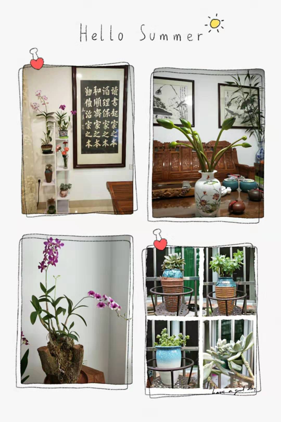 白沙绿色家庭,白沙绿色家园