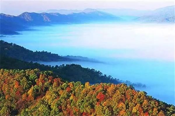 宜昌看红叶最佳地点,宜昌红叶最佳地点