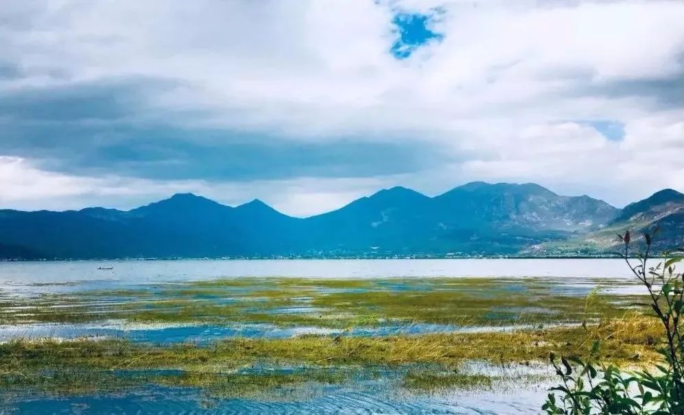 拉市海候鸟湿地公园在哪里,拉市海湿地公园和归来公社