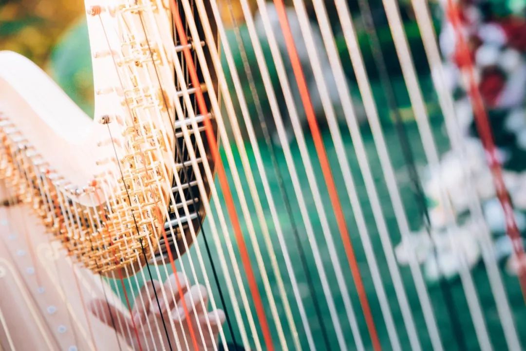 十首经典相思诗句,相思了无益诗句