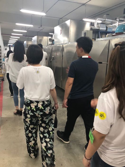 网上卖的几十块乳胶枕是真的,泰国原装进口乳胶枕儿童