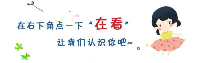 星光硬核故事,大明星故事全集