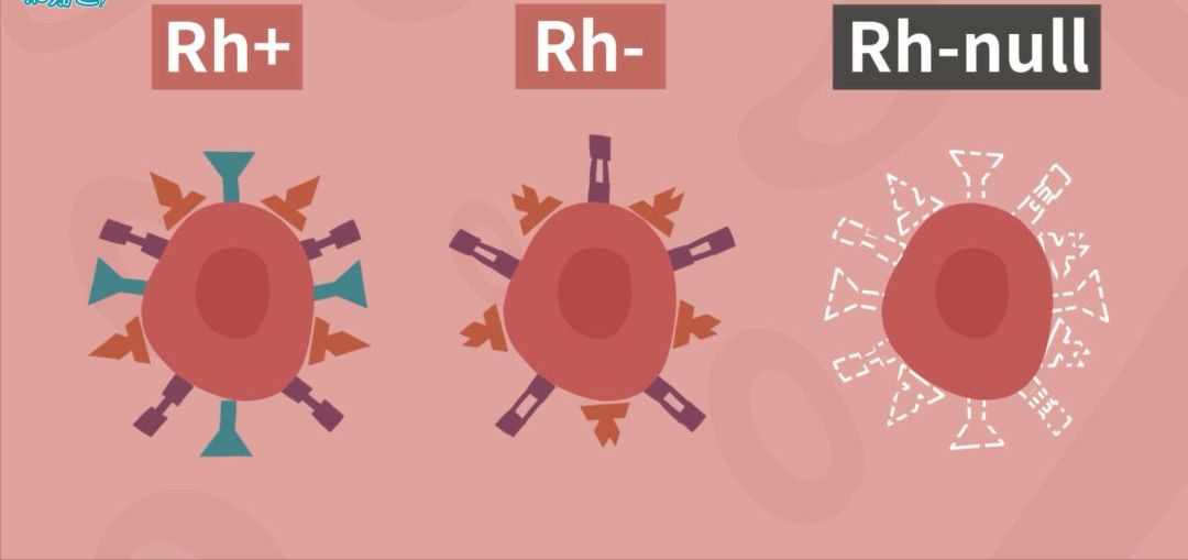 A型血和o型血能结婚生小孩吗,老婆a型和老公b型血能生出o型血吗
