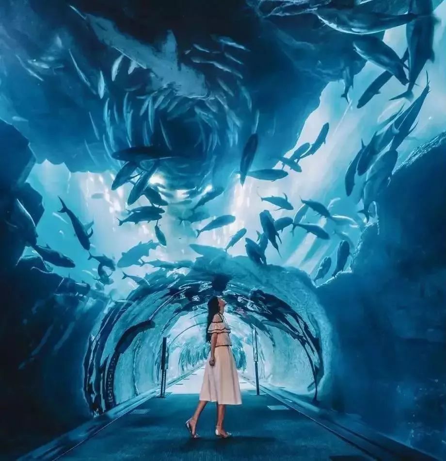 鐩樼偣鍏ㄧ悆椤剁骇鍟嗗満,涓栫晫涓婂崄澶all